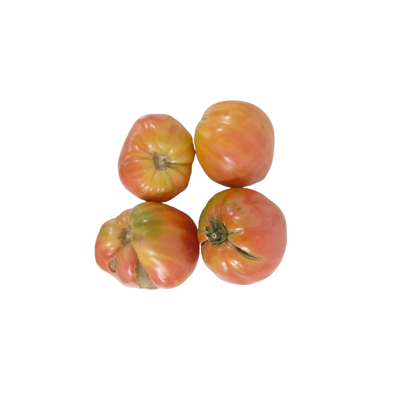 RIPE Oxheart tomato organic